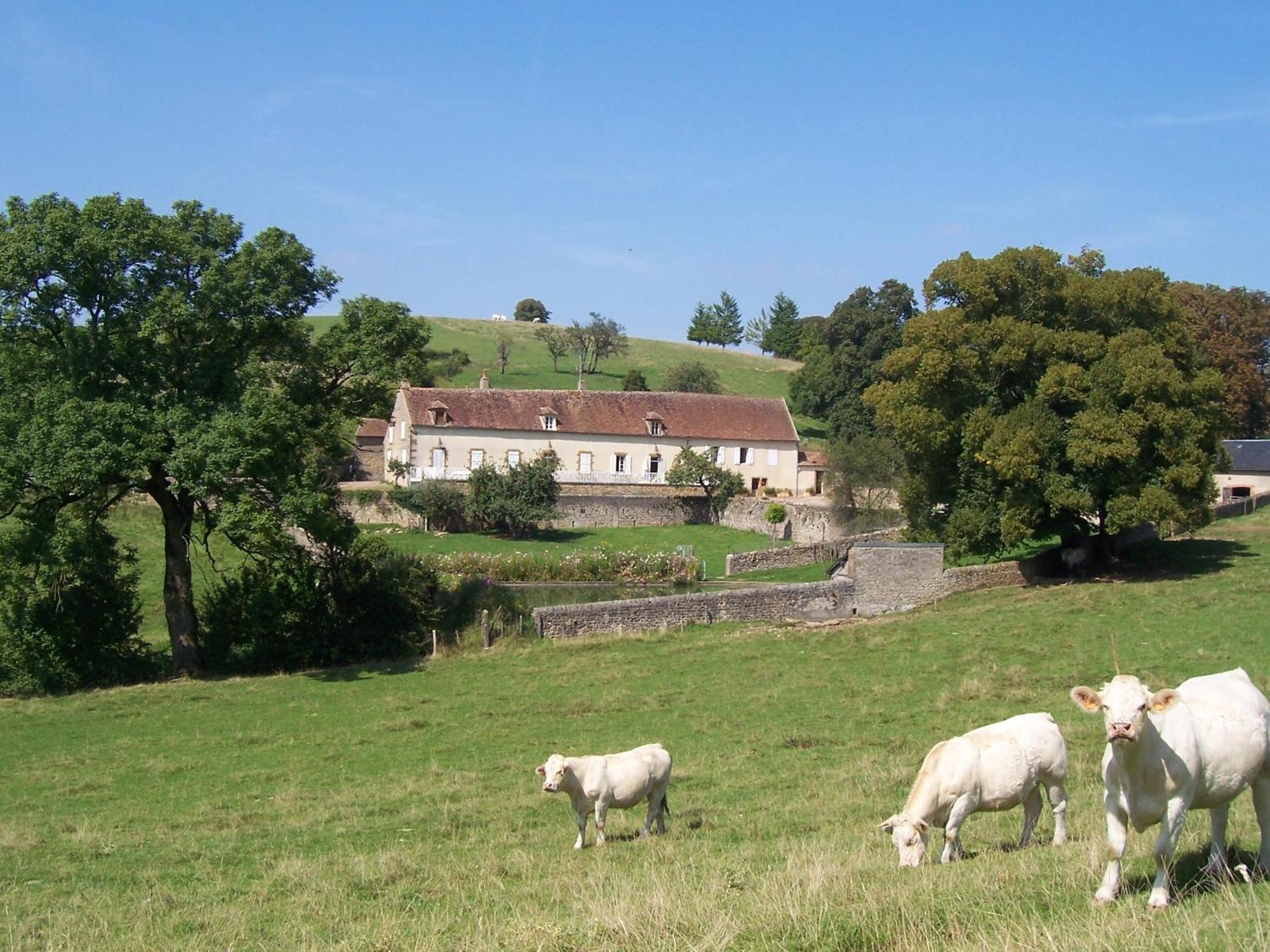 Bed and Breakfast Domaine de Drémont Anthien Exterior foto